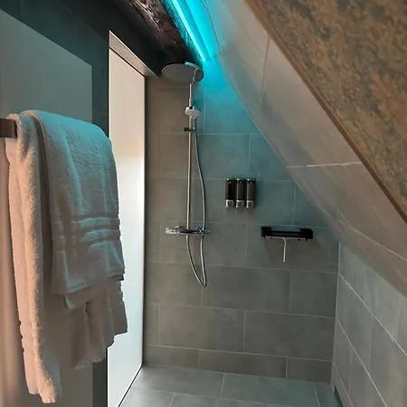 Moderne Suite Goldener Stern In Der Altstadt Mit Wifi 公寓 *